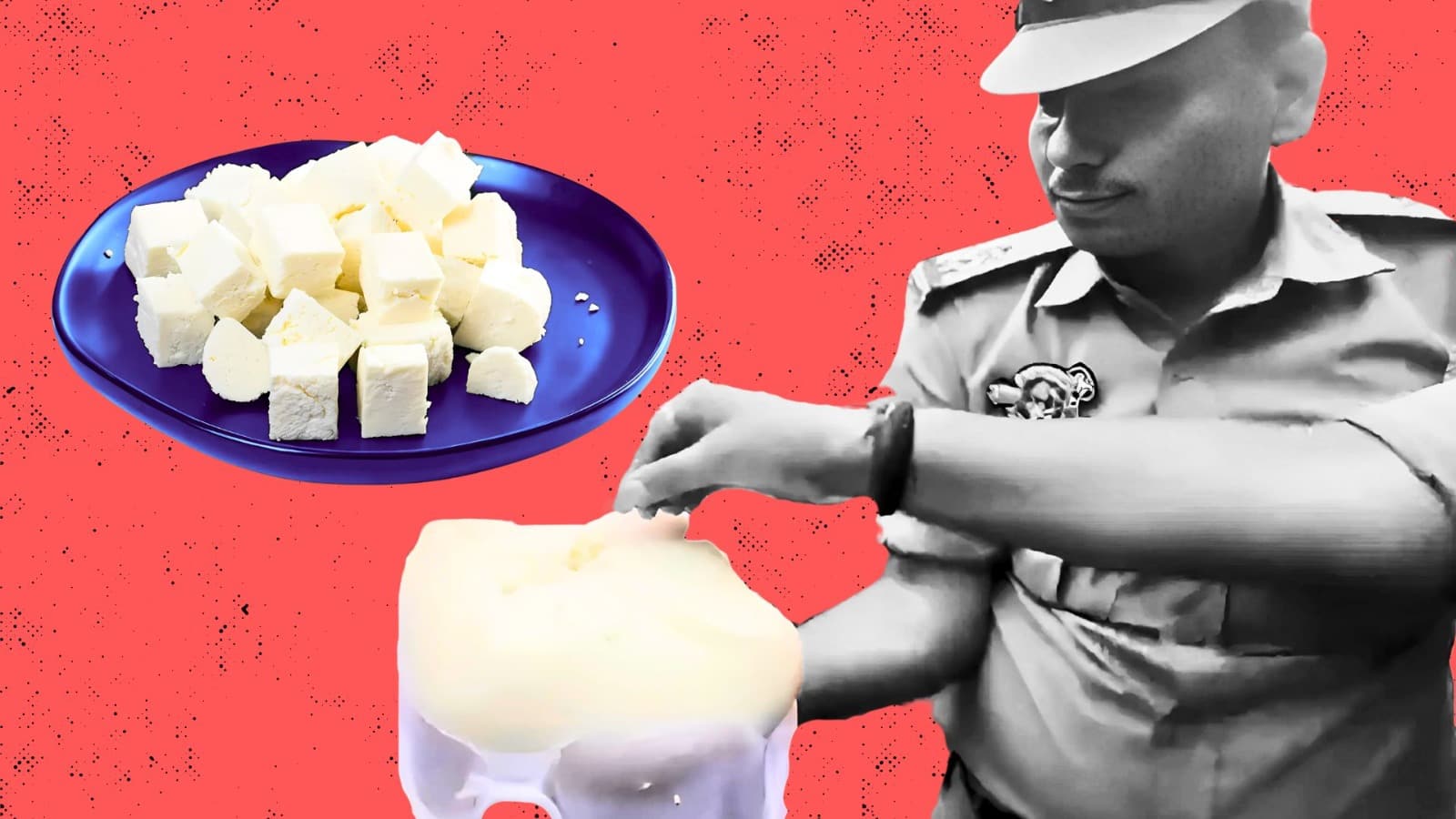 1400 Kg of Poisoned Paneer!