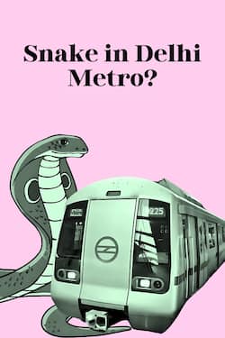 Snake Scare Sparks Metro Chaos